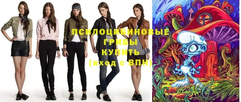 Псилоцибиновые грибы Psilocybe  гидра как зайти  Борисоглебск 